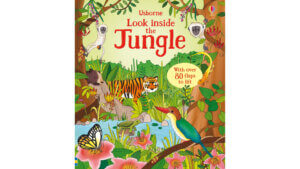 Look Inside the Jungle
